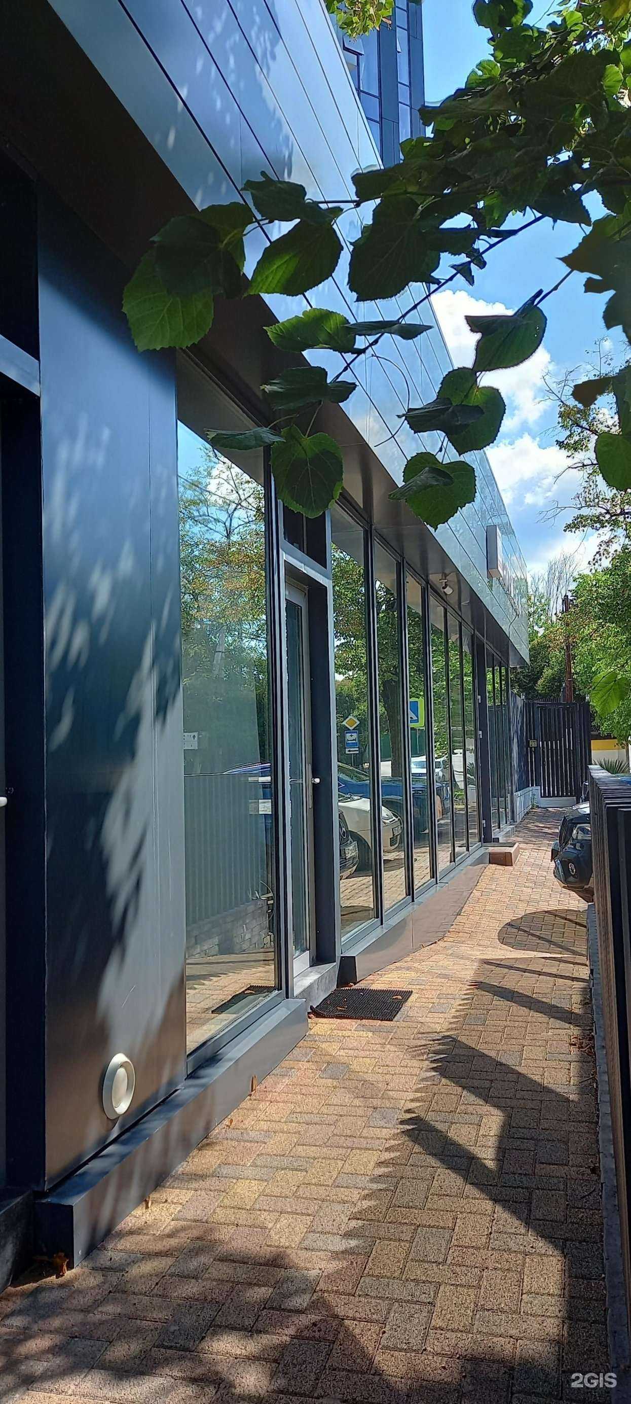 Отзывы на компанию Italika в Сочи c фото - фотография 2 из 2