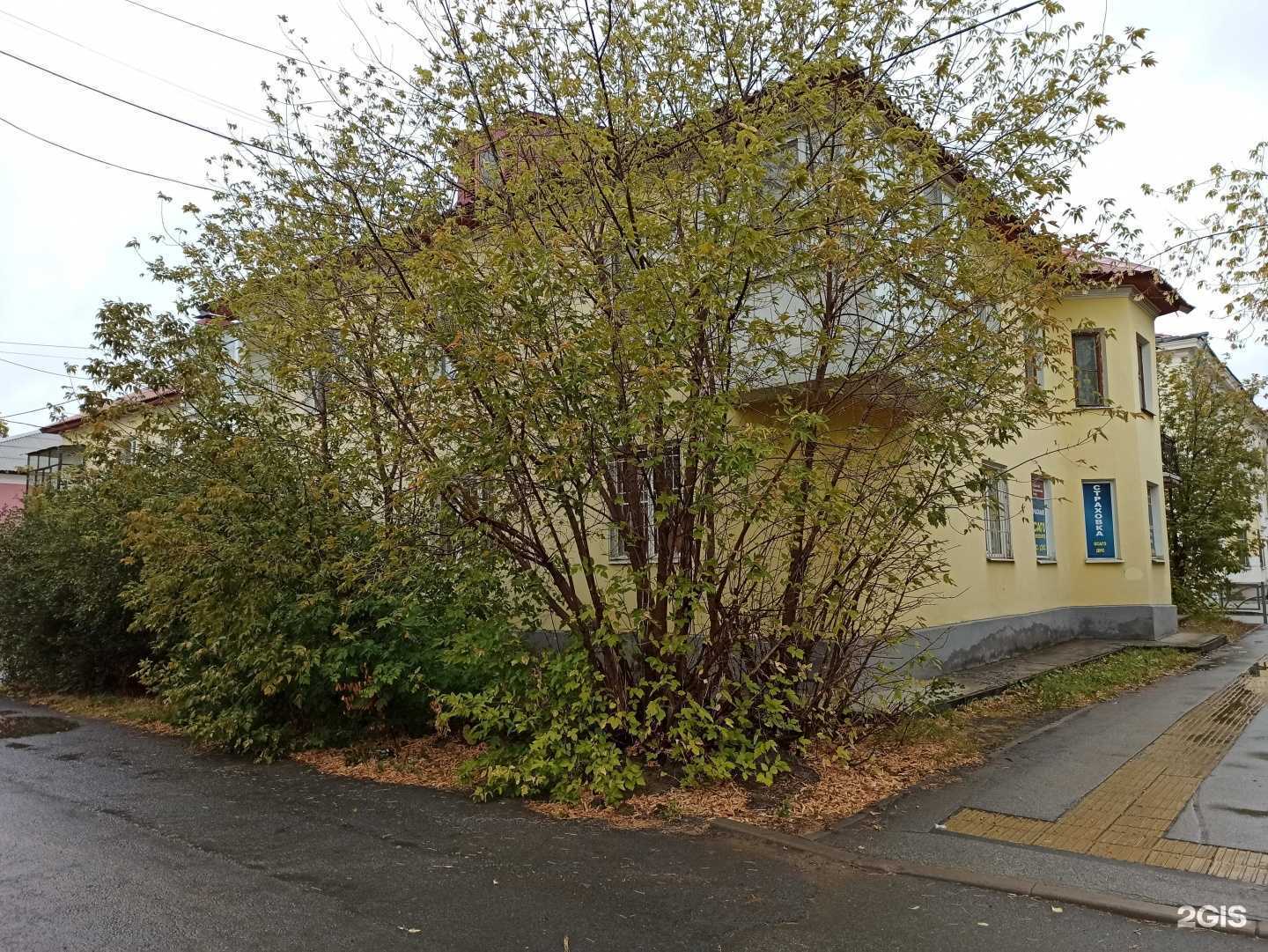 Отзывы на компанию Уральский миграционный центр в Первоуральске c фото - фотография 2 из 2