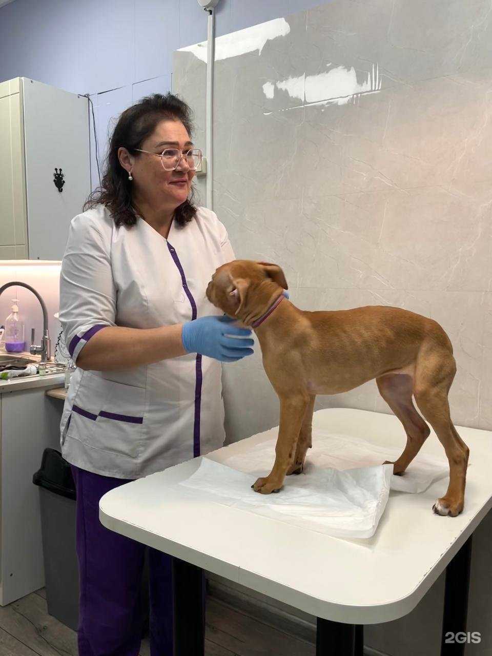 Отзывы на компанию Бастис в Электростали c фото