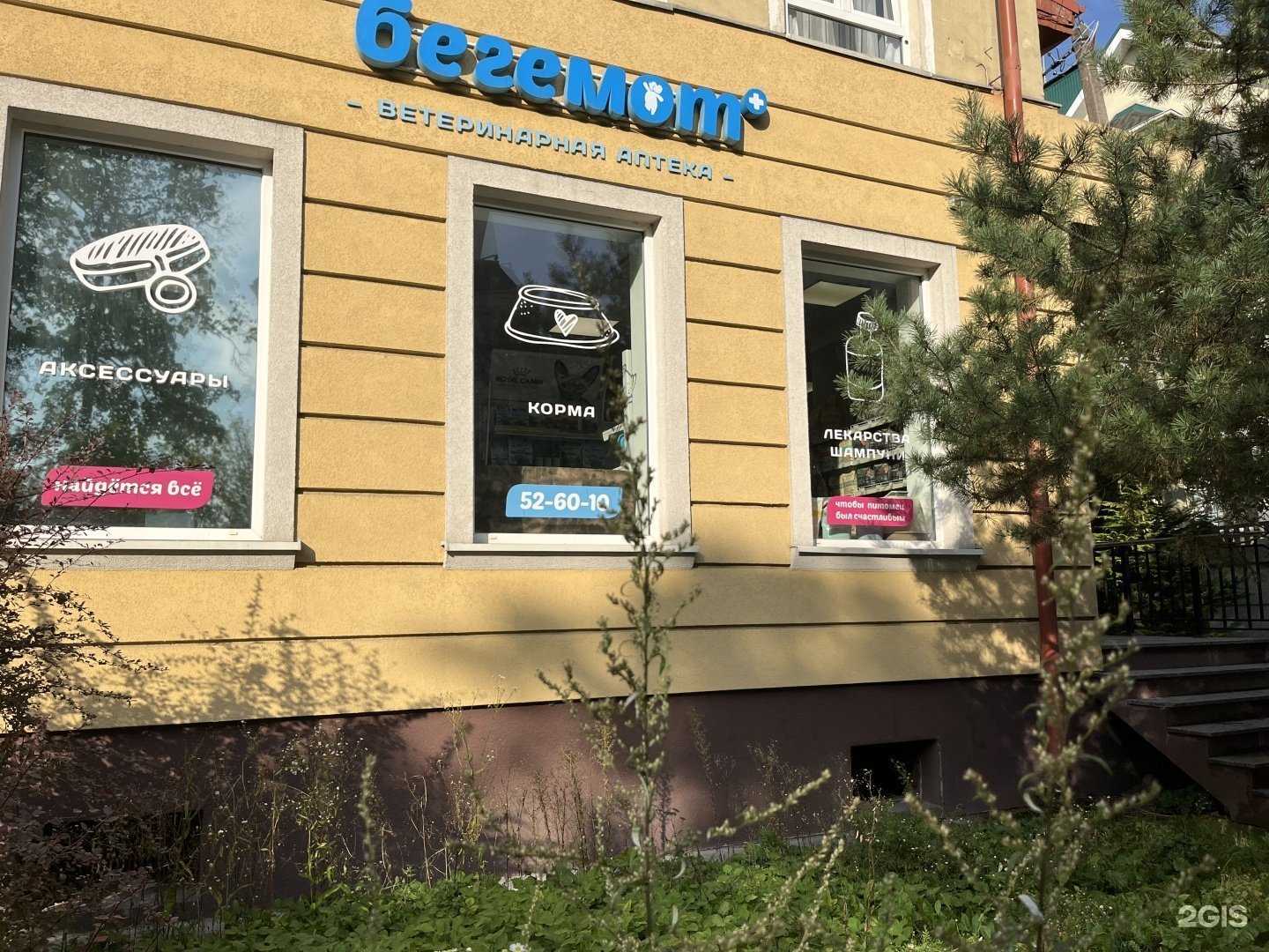 Отзывы на компанию Бегемот в г. Калининград c фото