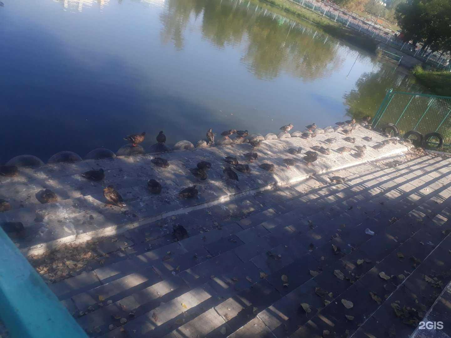 Отзывы на компанию Парк культуры и отдыха им. А.С. Пушкина в г. Саранск c фото