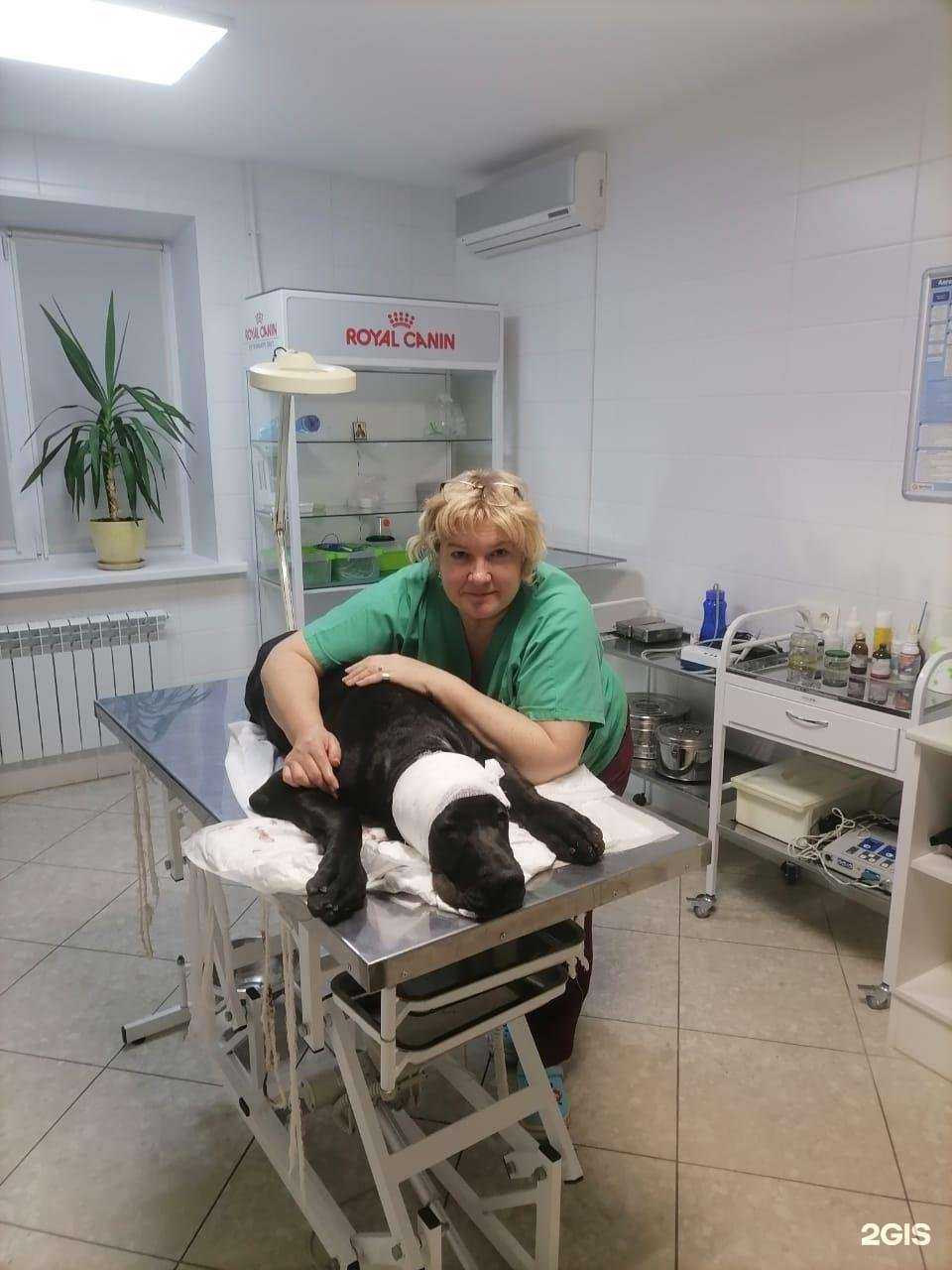 Отзывы на компанию Котопёс в г. Саратов c фото