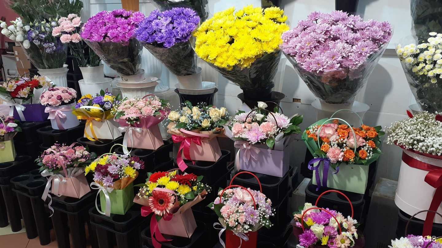 Отзывы на компанию Офелия в г. Нижневартовск c фото