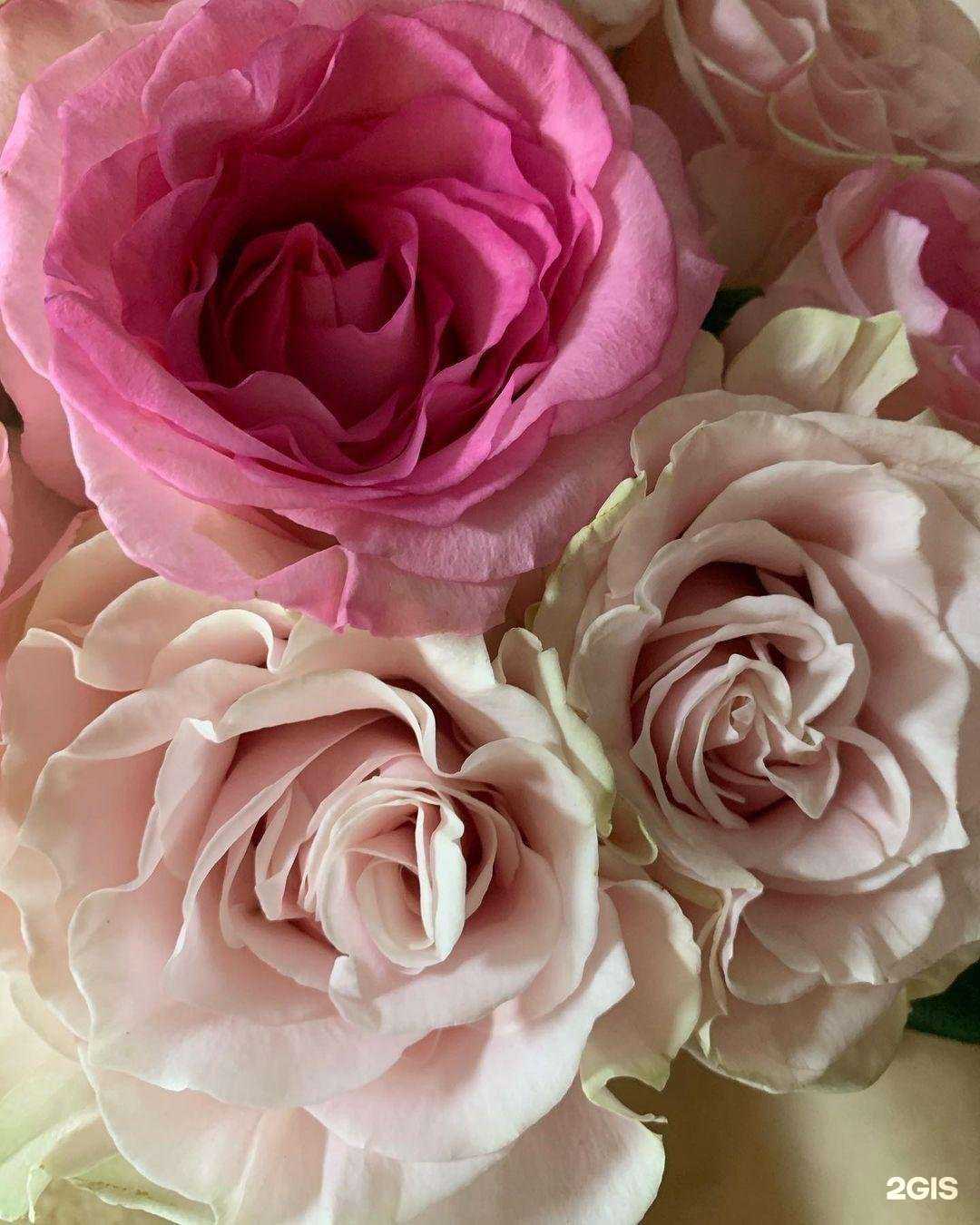 Отзывы на компанию ELSEDA в г. Липецк c фото