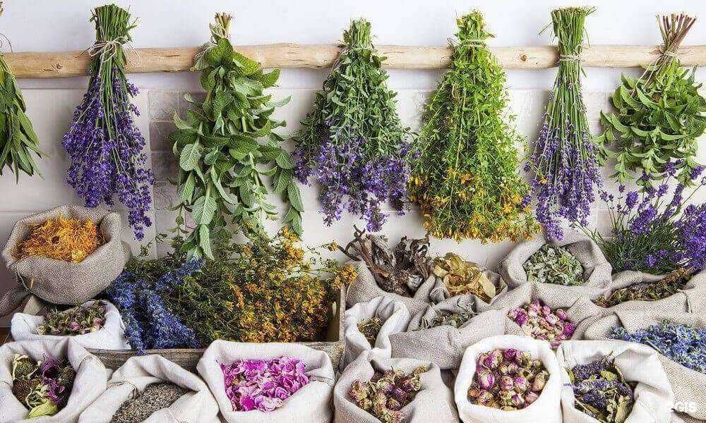 Отзывы на компанию Травы&Дары Алтая в Барнауле c фото