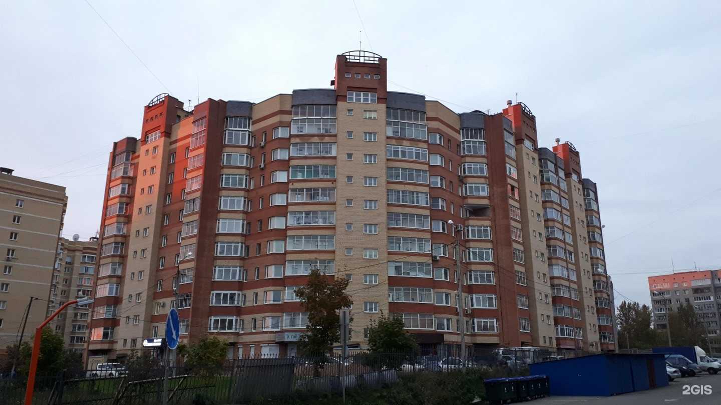 Отзывы на компанию Пудель Штрудель в Ярославле c фото - фотография 2 из 2