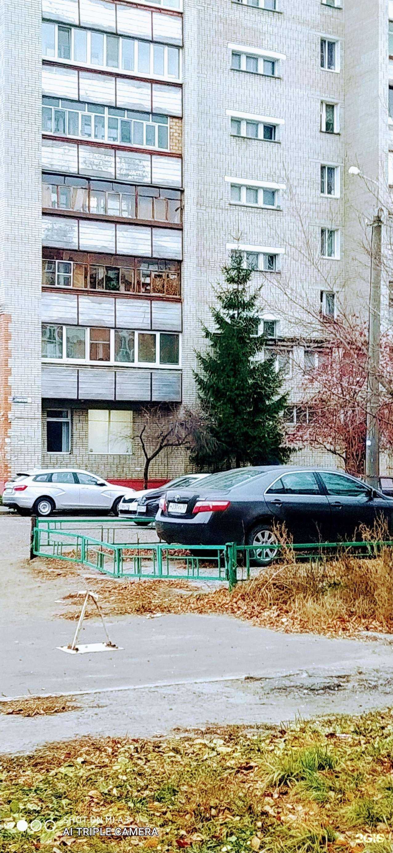 Отзывы на компанию Юла в Пензе c фото - фотография 2 из 2