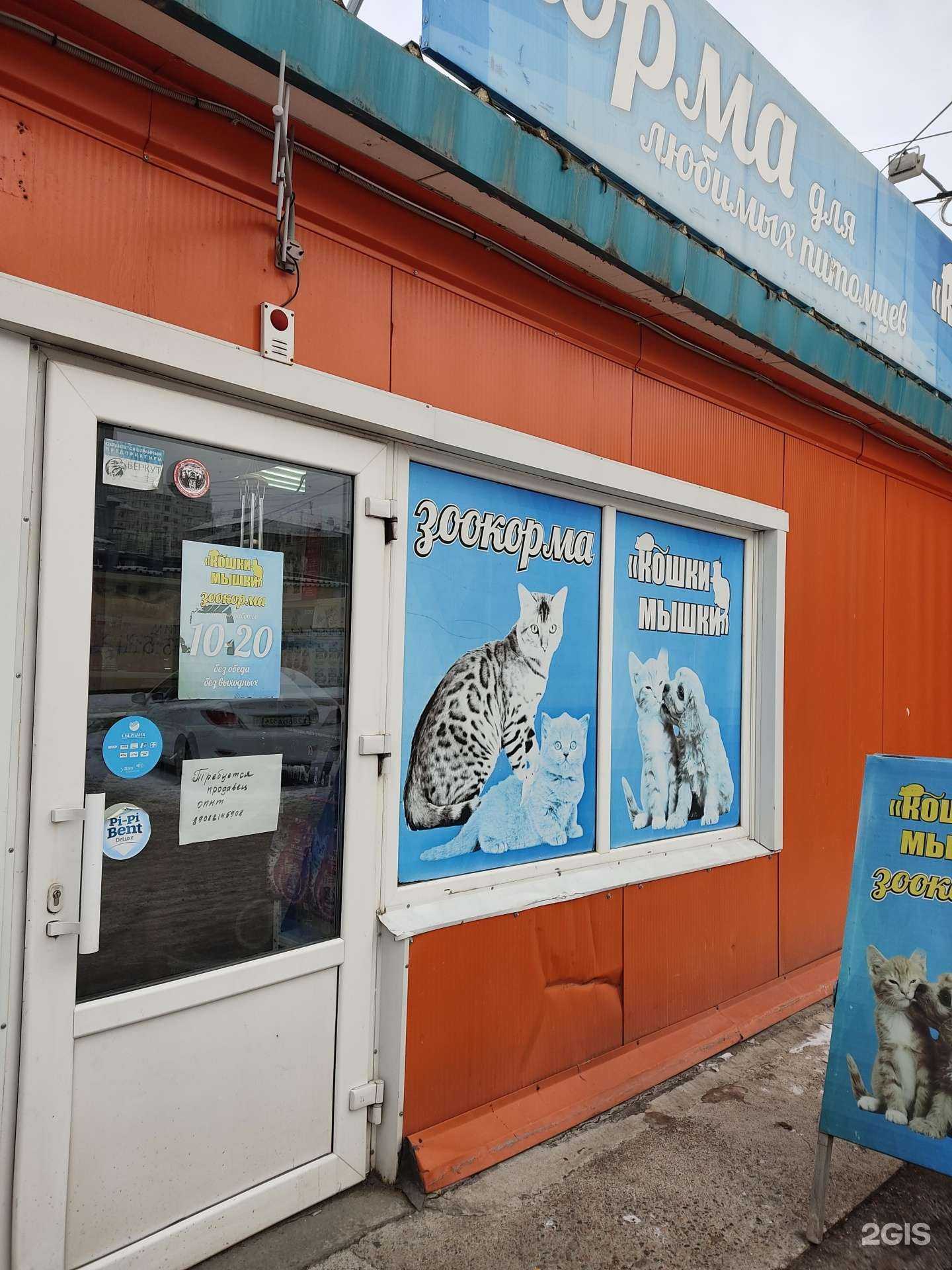 Отзывы на компанию Кошки-мышки в г. Красноярск c фото