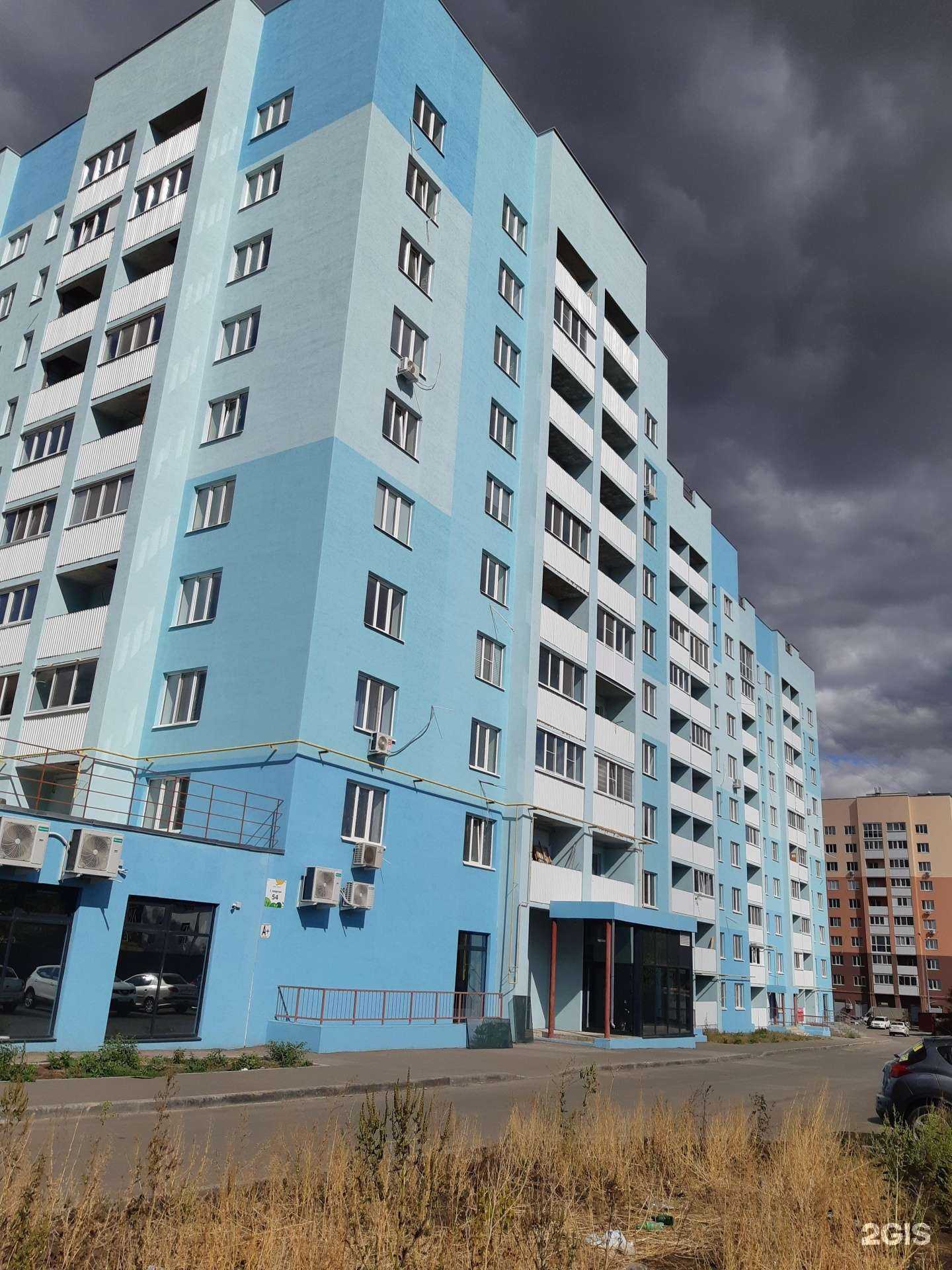 Отзывы на компанию Груминг-студия в г. Самара c фото