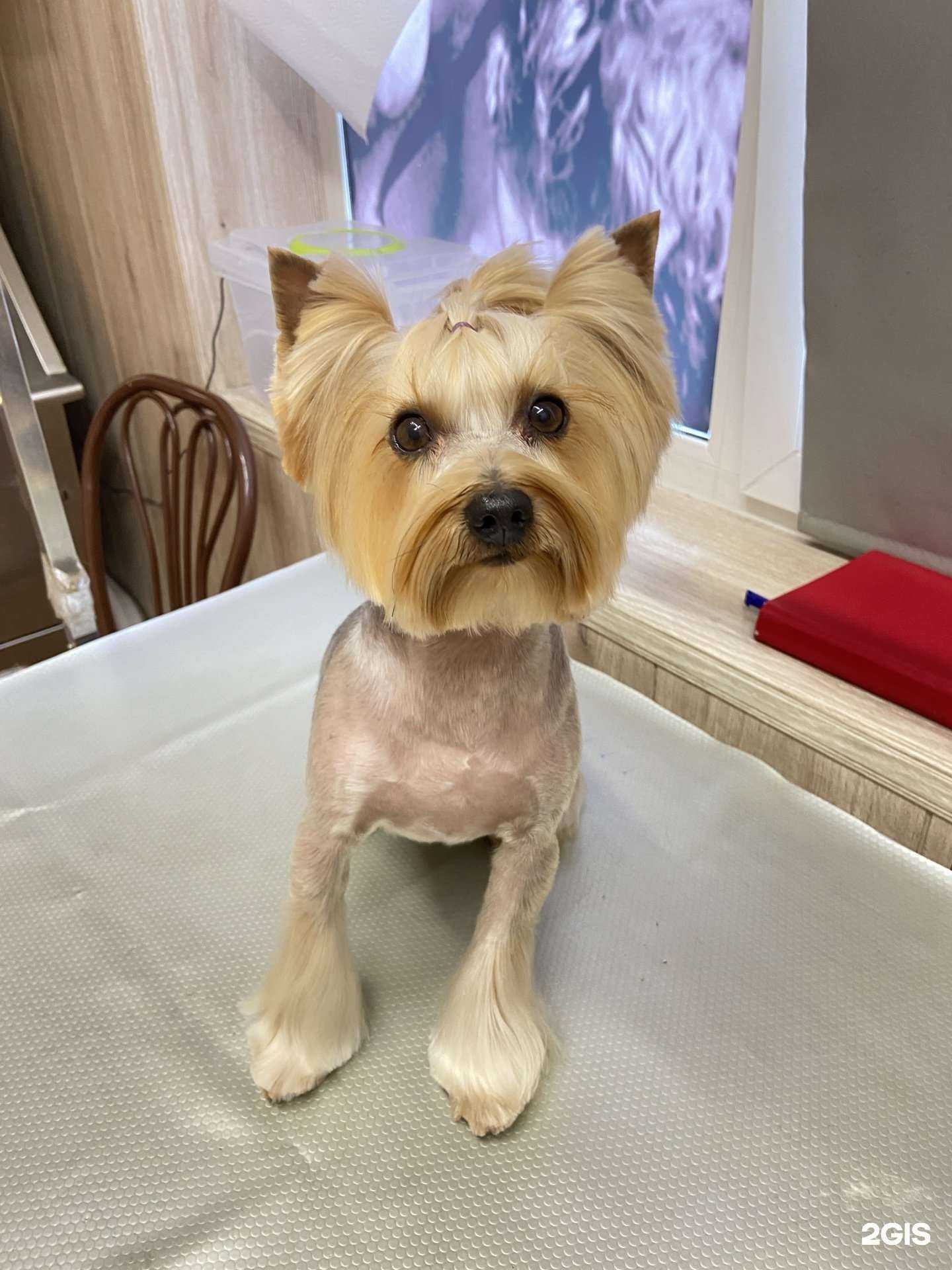 Отзывы на компанию Лилу в Находке c фото