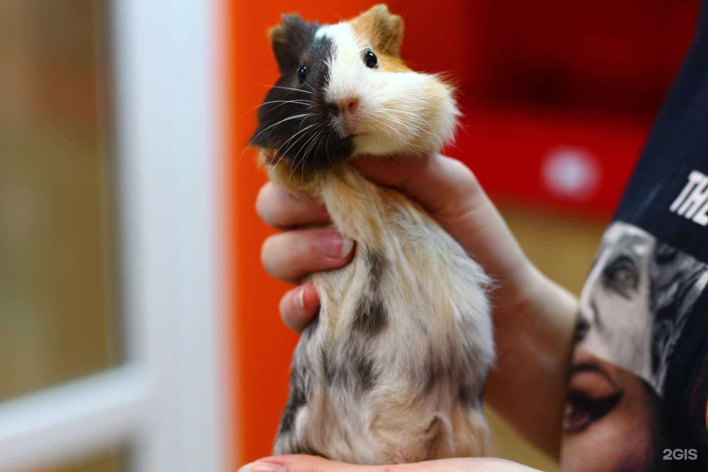 Отзывы на компанию Шанти в г. Екатеринбург c фото