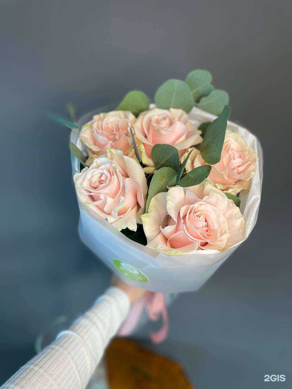 Отзывы на компанию Зелень в Тюмени c фото