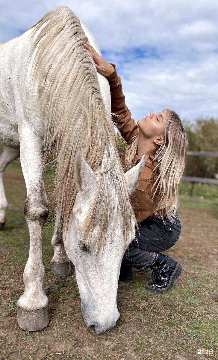 Отзывы на компанию Примавера в Красноярске c фото