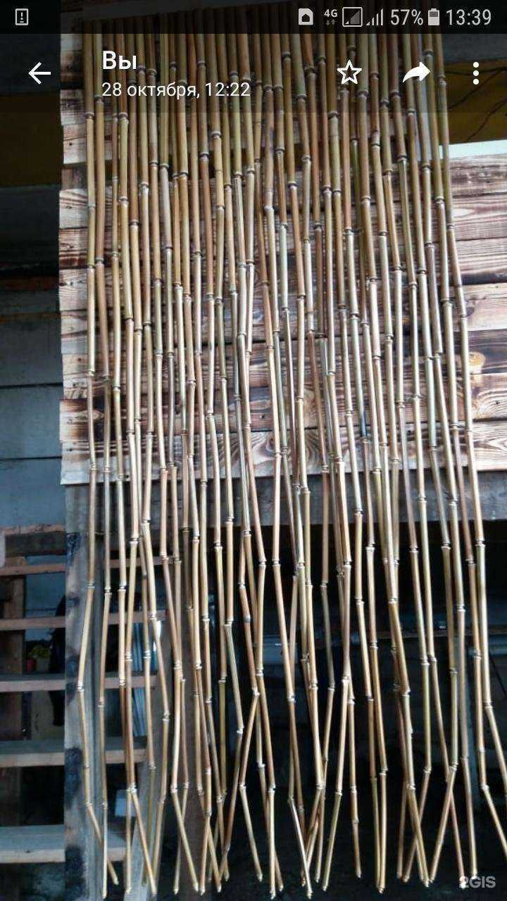 Отзывы на компанию Бамбук Саратов в Саратове c фото