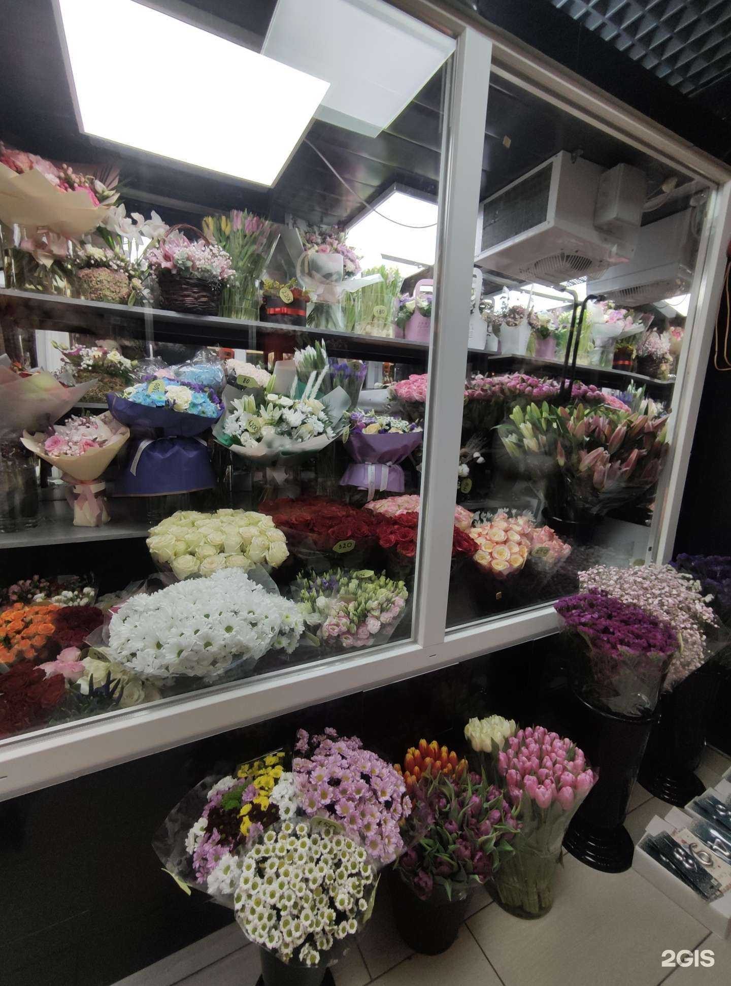 Отзывы на компанию Донн Пион в г. Химки c фото