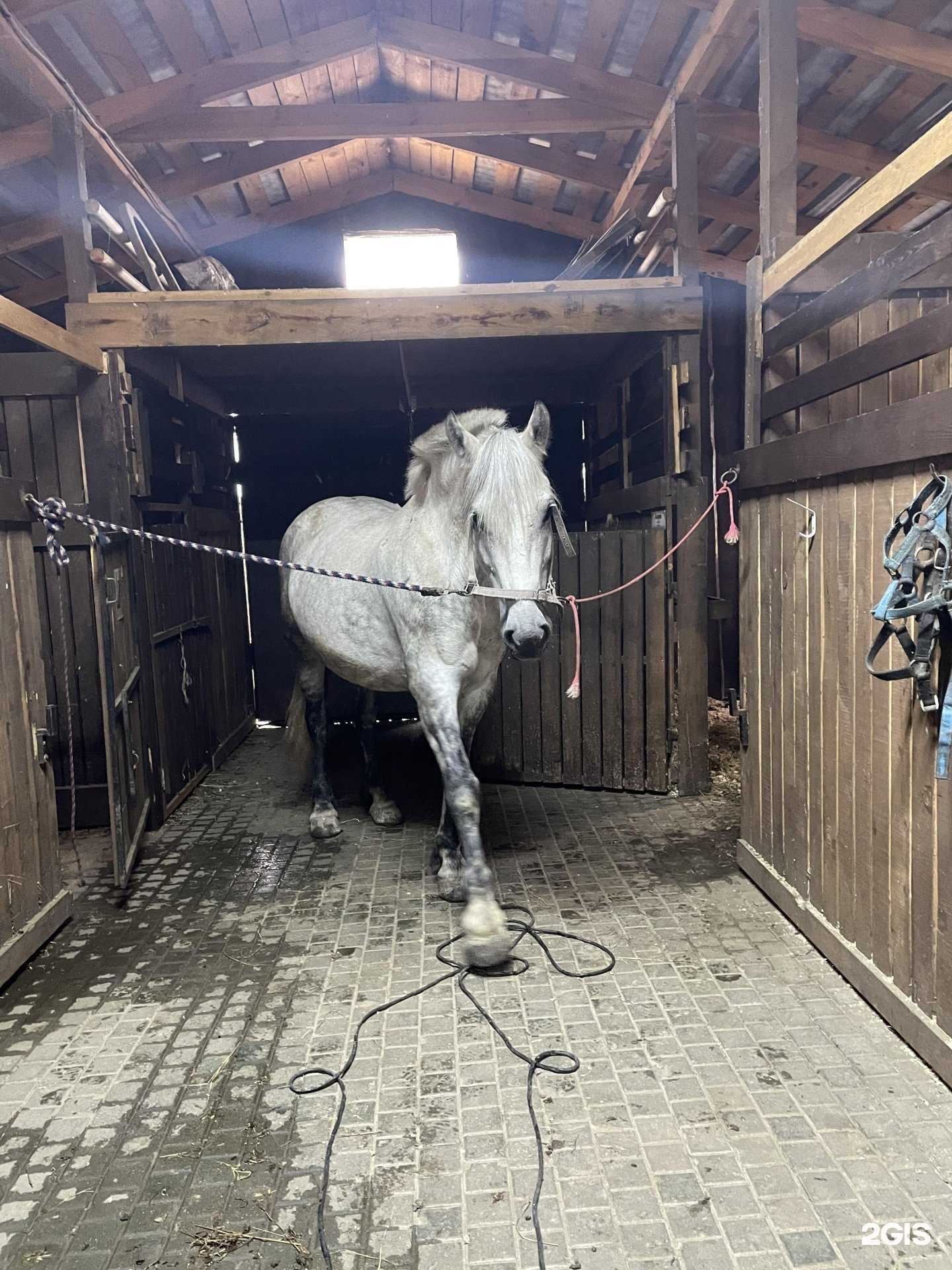 Отзывы на компанию Владимирский в Тюмени c фото