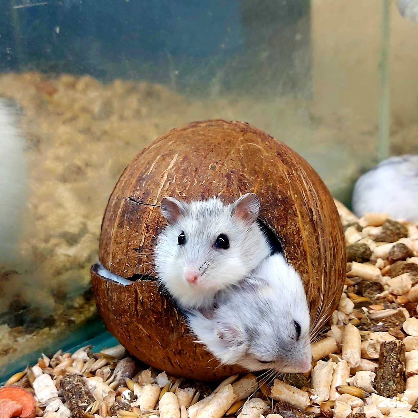 Отзывы на компанию Зооферма в Владивостоке c фото