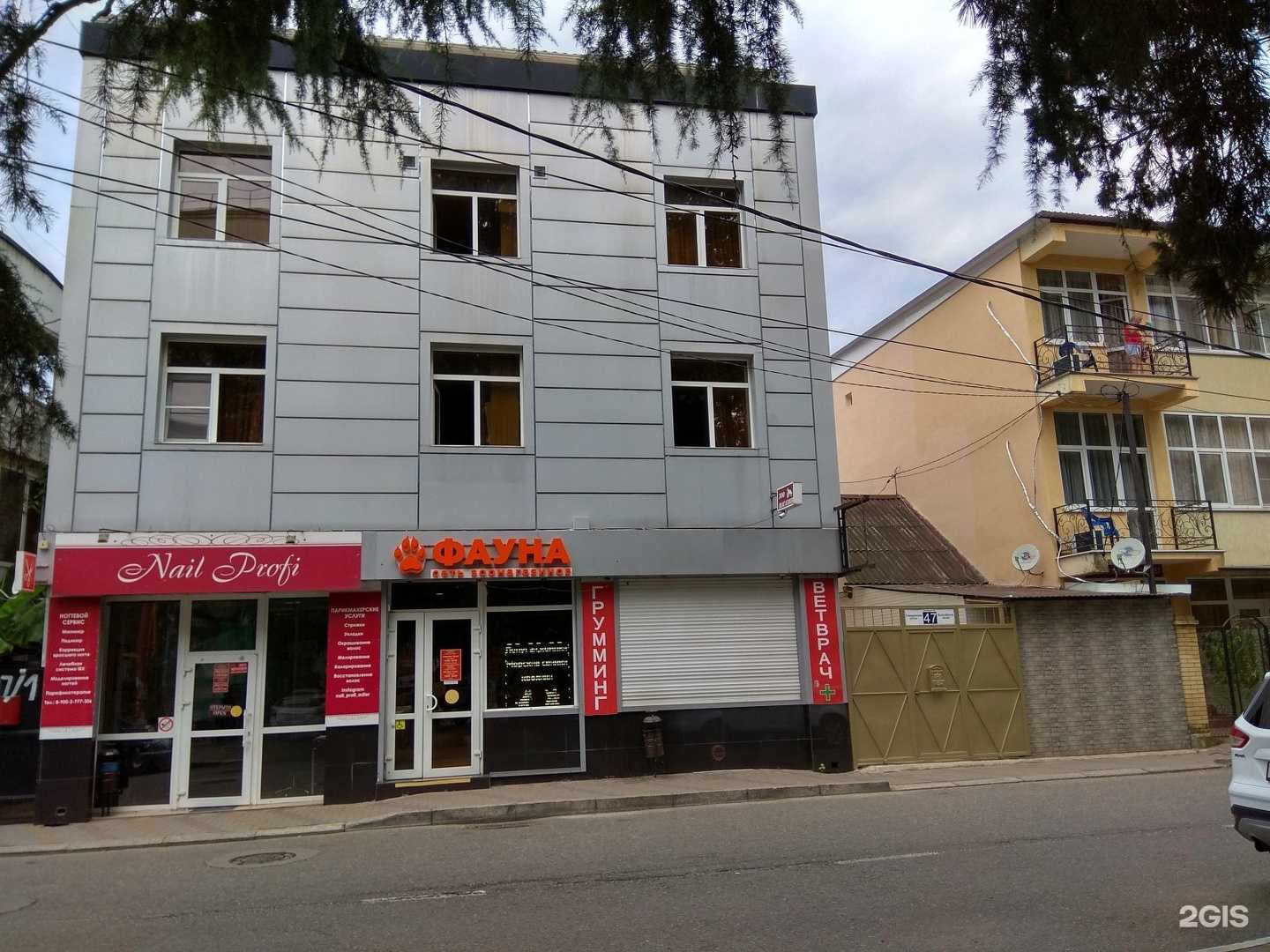 Отзывы на компанию Чио Чио в Сочи c фото - фотография 2 из 2