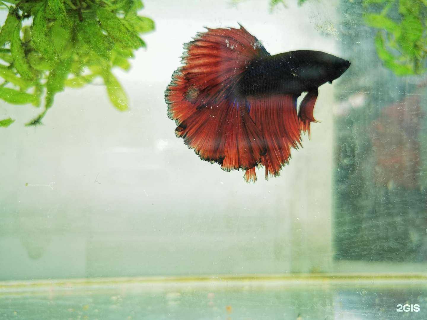 Отзывы на компанию ЗооГрад в г. Ижевск c фото