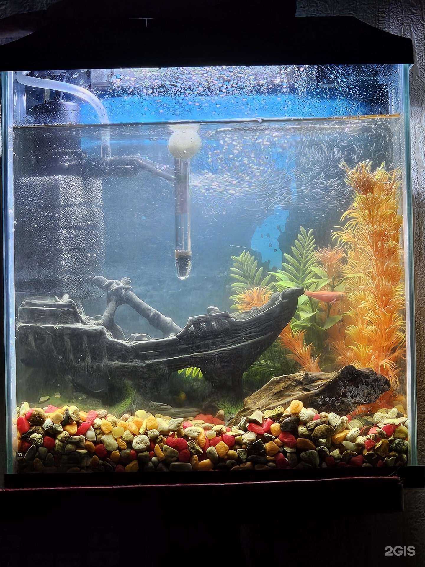 Отзывы на компанию Матроскин в Екатеринбурге c фото