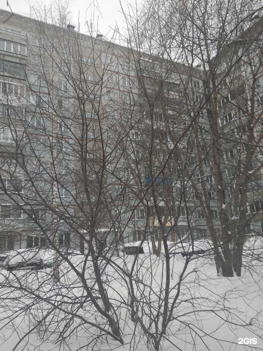 Отзывы на компанию Спортивная секция по каратэ и кобудо в Новосибирске c фото