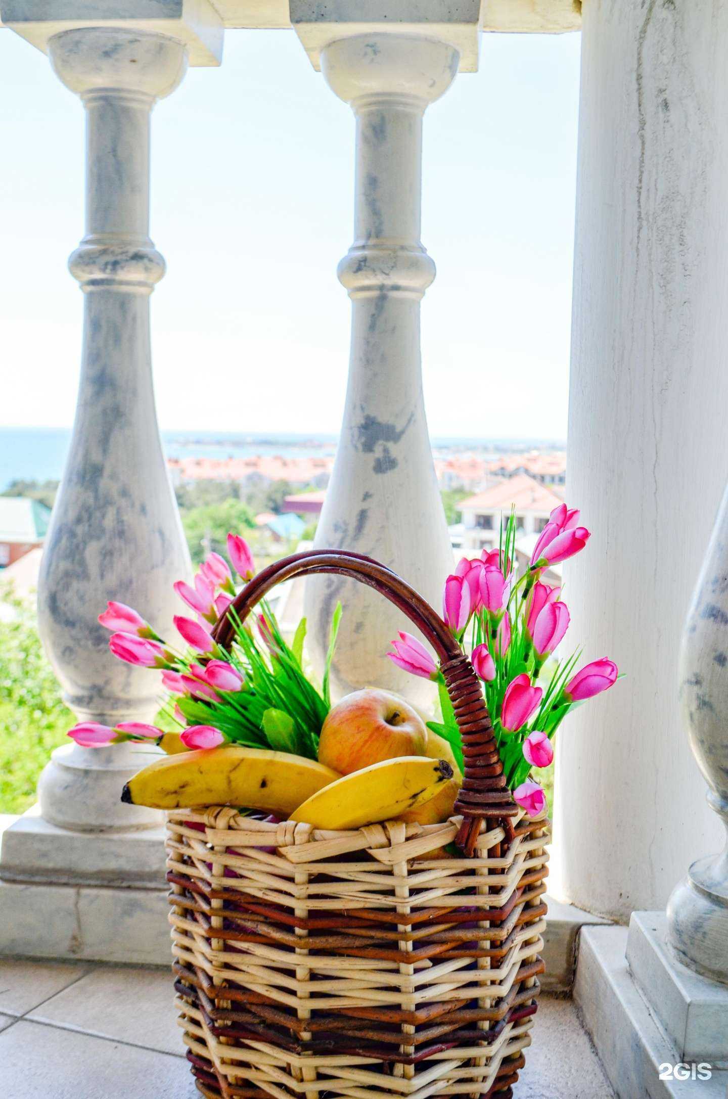 Отзывы на компанию Пегас в Геленджике c фото