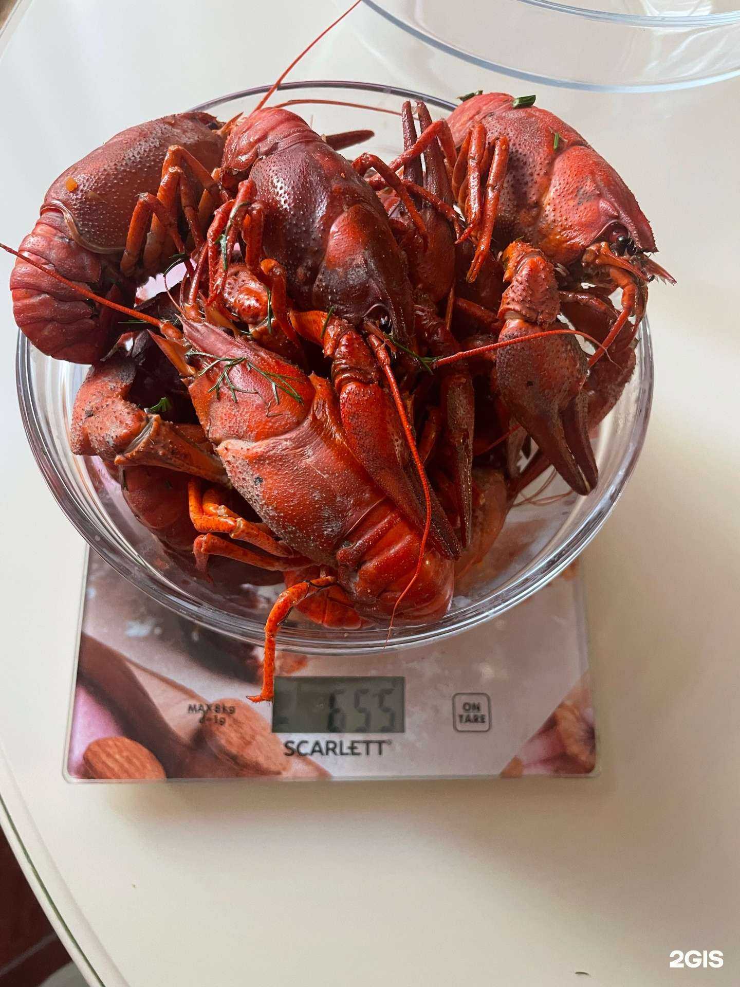 Отзывы на компанию Глав-Рак в г. Краснодар c фото