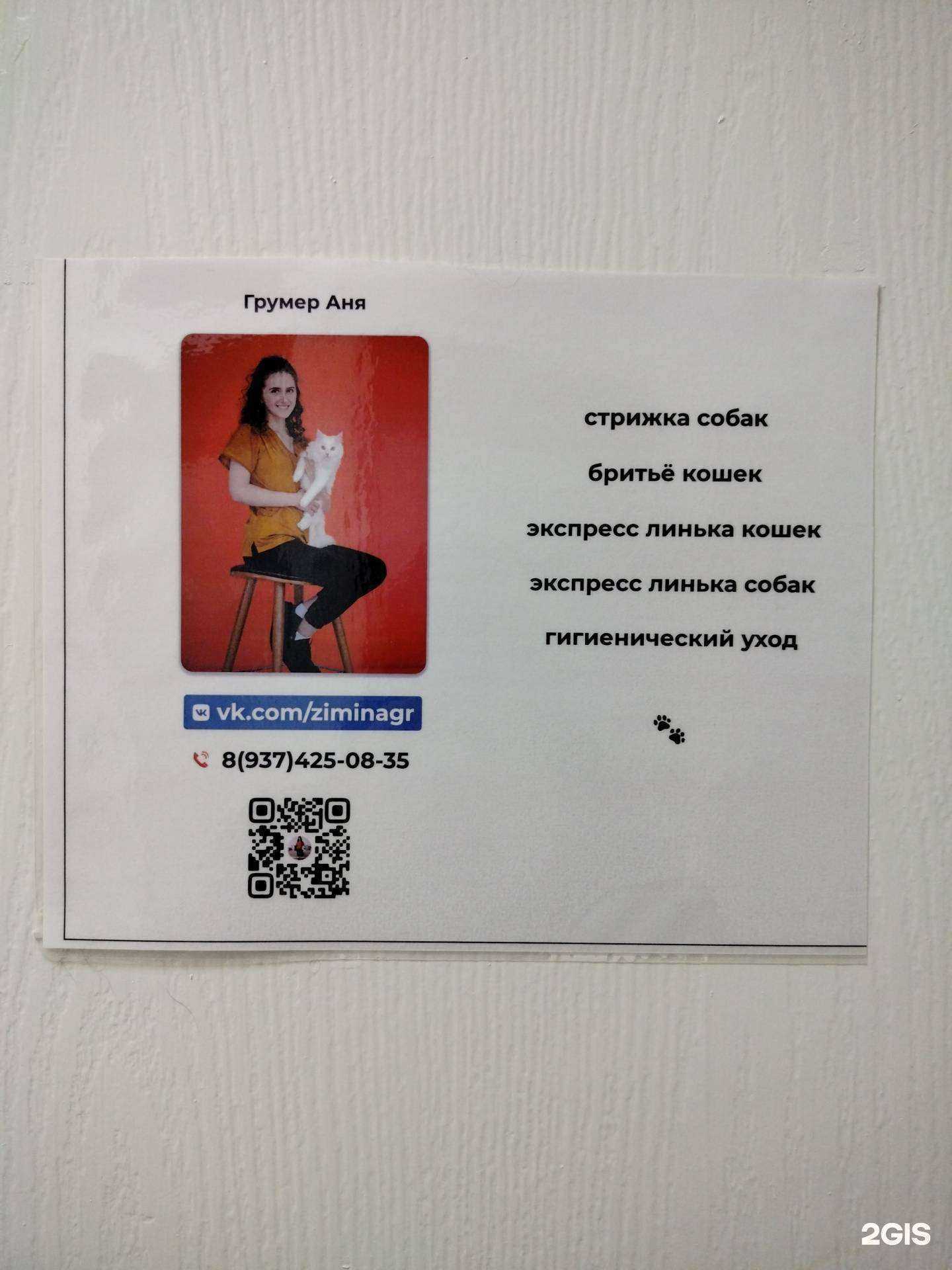 Отзывы на компанию Студия груминга в Пензе c фото