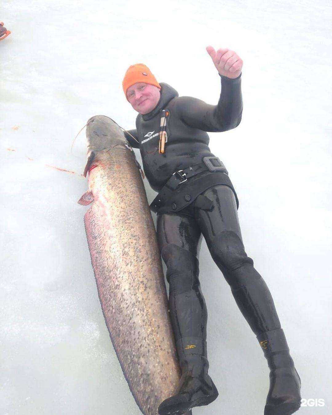 Отзывы на компанию Акватим в Ростове-на-Дону c фото