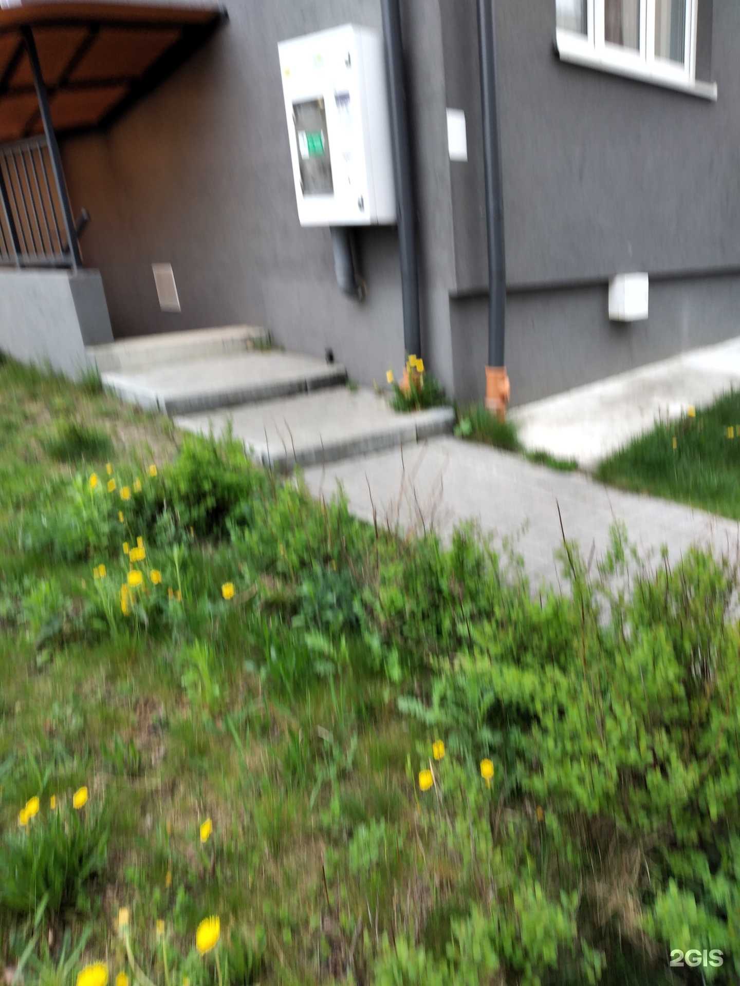 Отзывы на компанию Живая вода в г. Светлогорск c фото