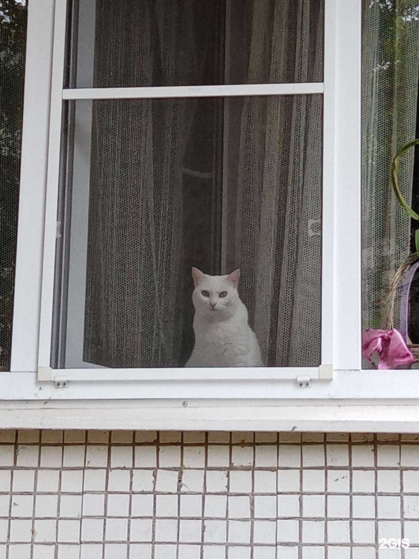 Отзывы на компанию 32 плюс в Черкесске c фото - фотография 2 из 2