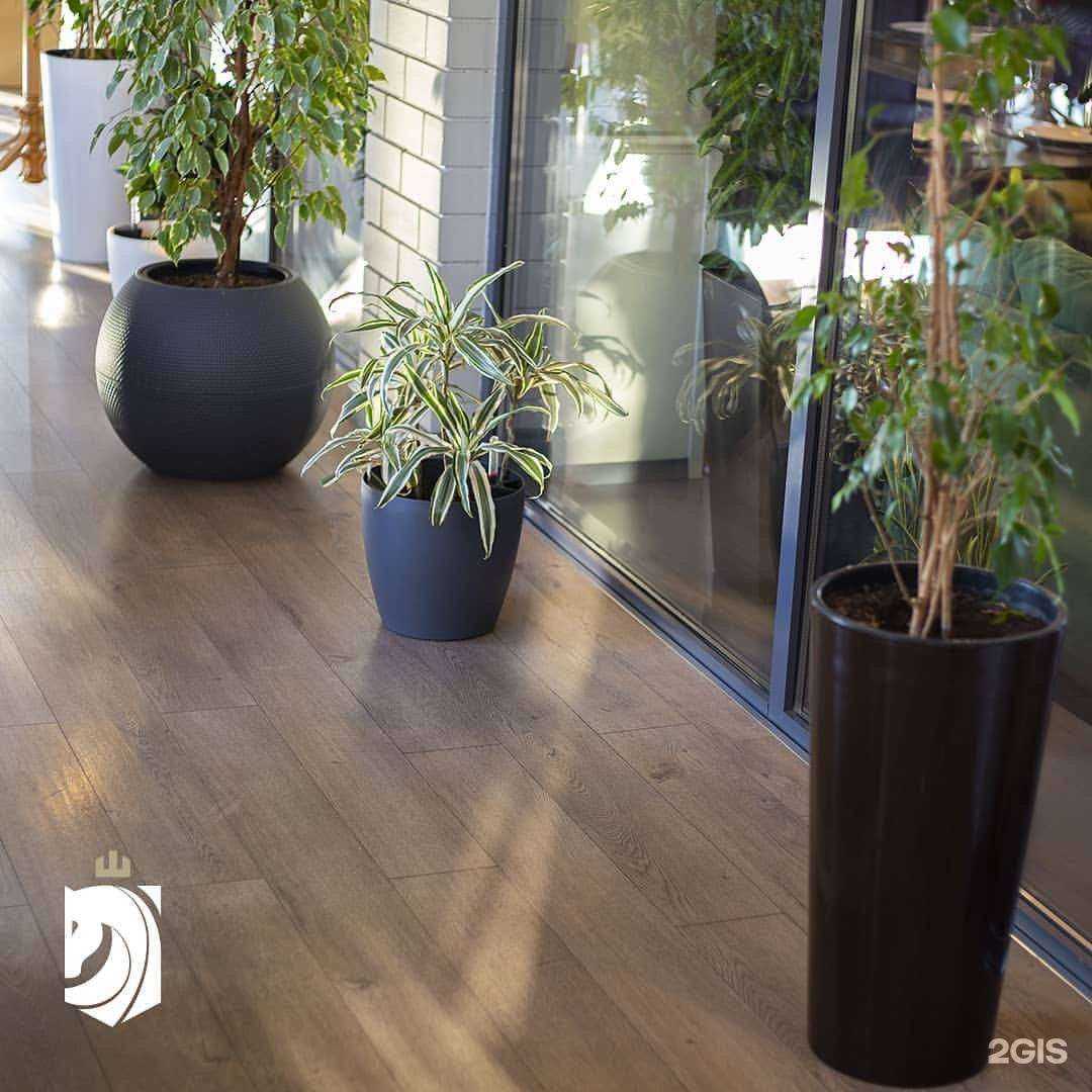 Отзывы на компанию Элит-пол в Махачкале c фото