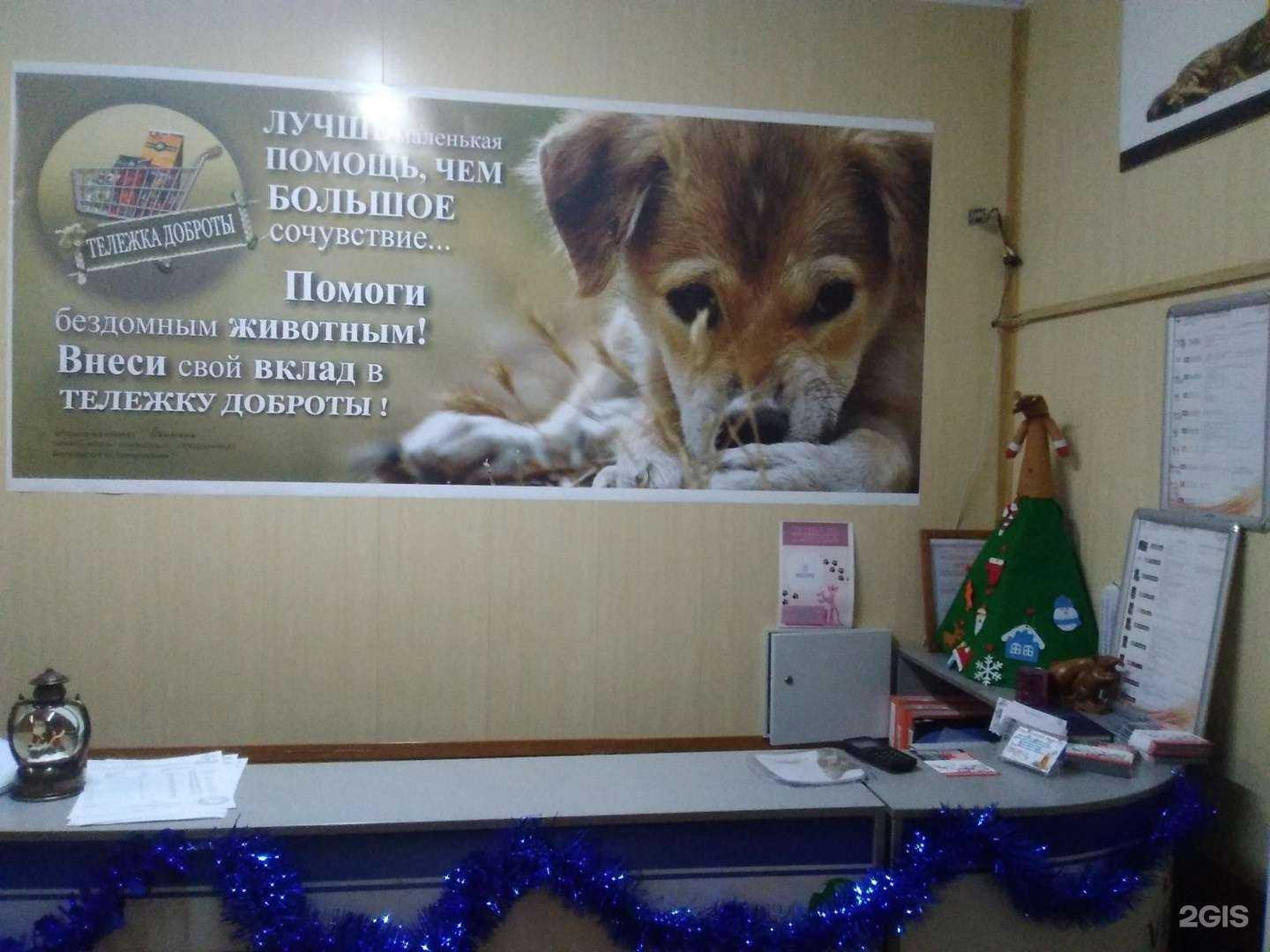 Отзывы на компанию Пантера в Белоозёрском c фото