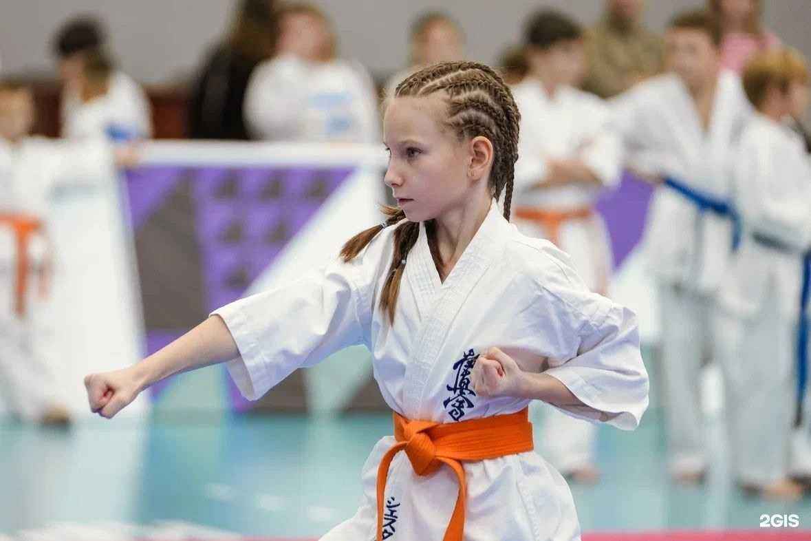 Отзывы на компанию Спортивная секция для детей и взрослых в Красноярске c фото