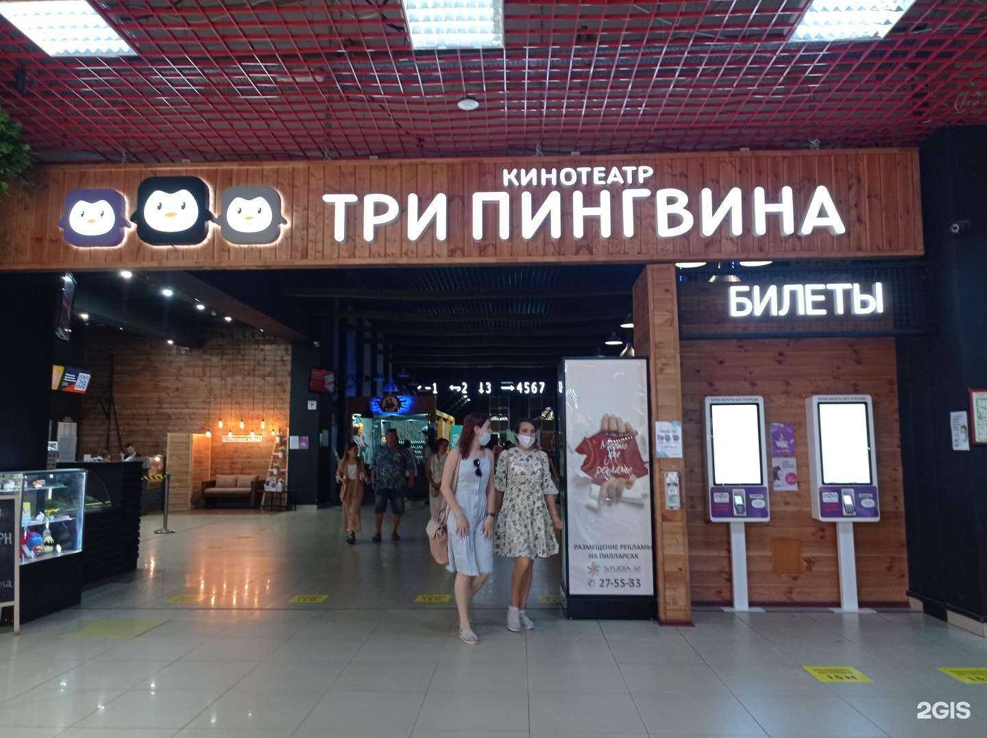 Отзывы на компанию Три Пингвина в Чебоксарах c фото