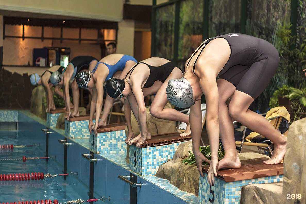 Отзывы на компанию Дошкольная академия в г. Курск c фото