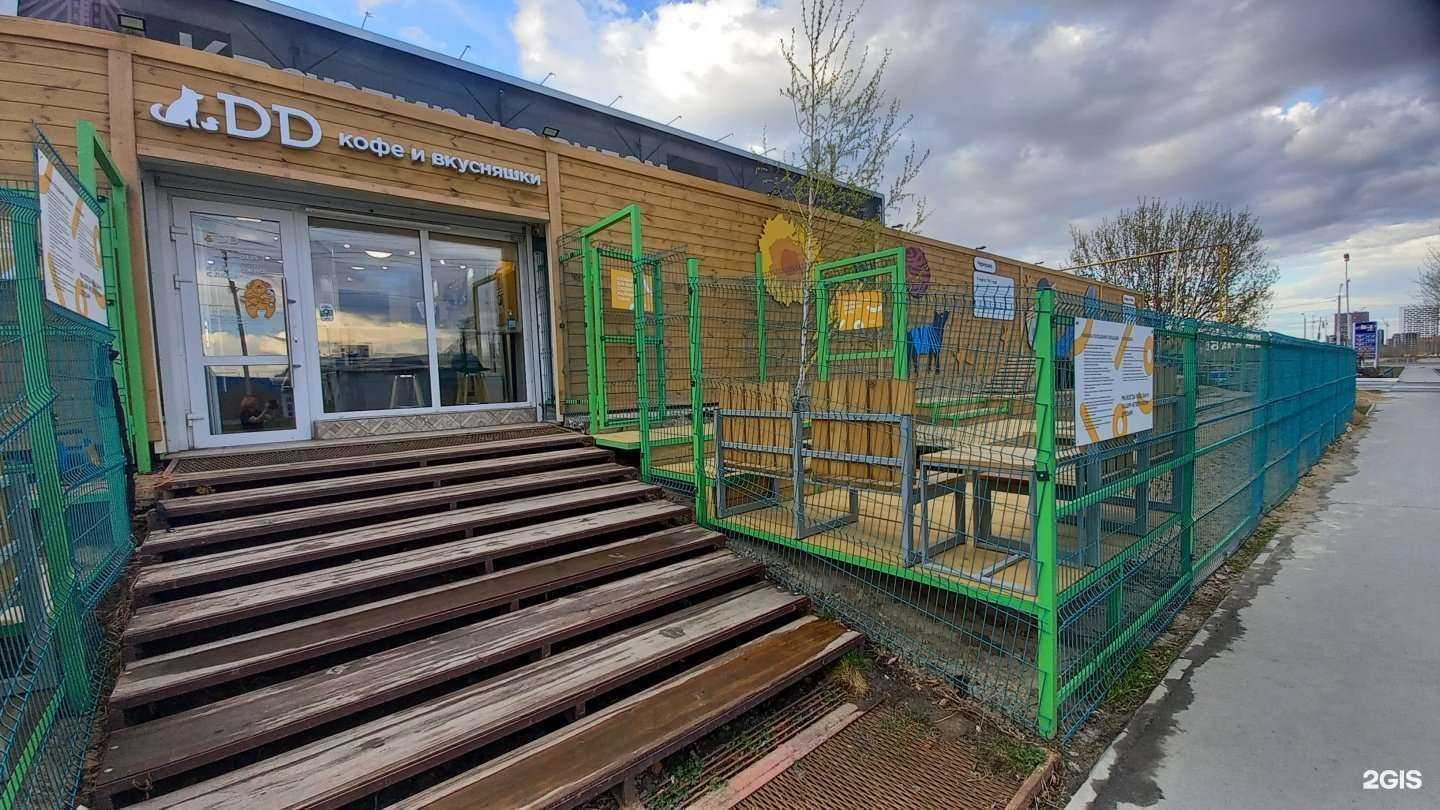 Отзывы на компанию Dd-play в Тюмени c фото