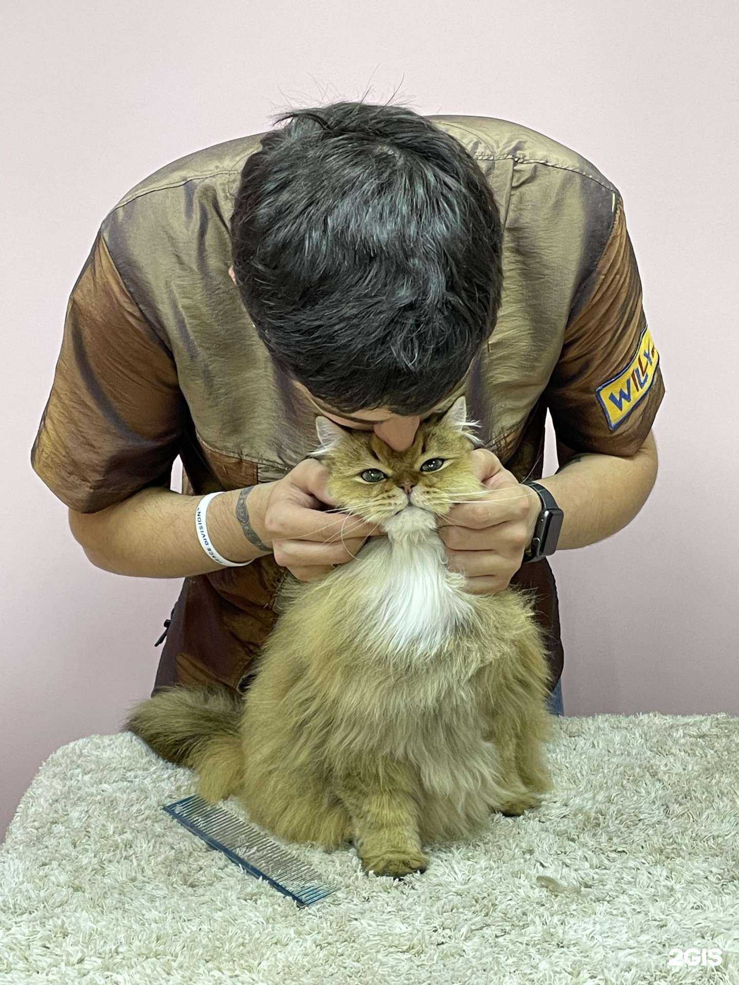 Отзывы на компанию Willy Band в г. Краснодар c фото