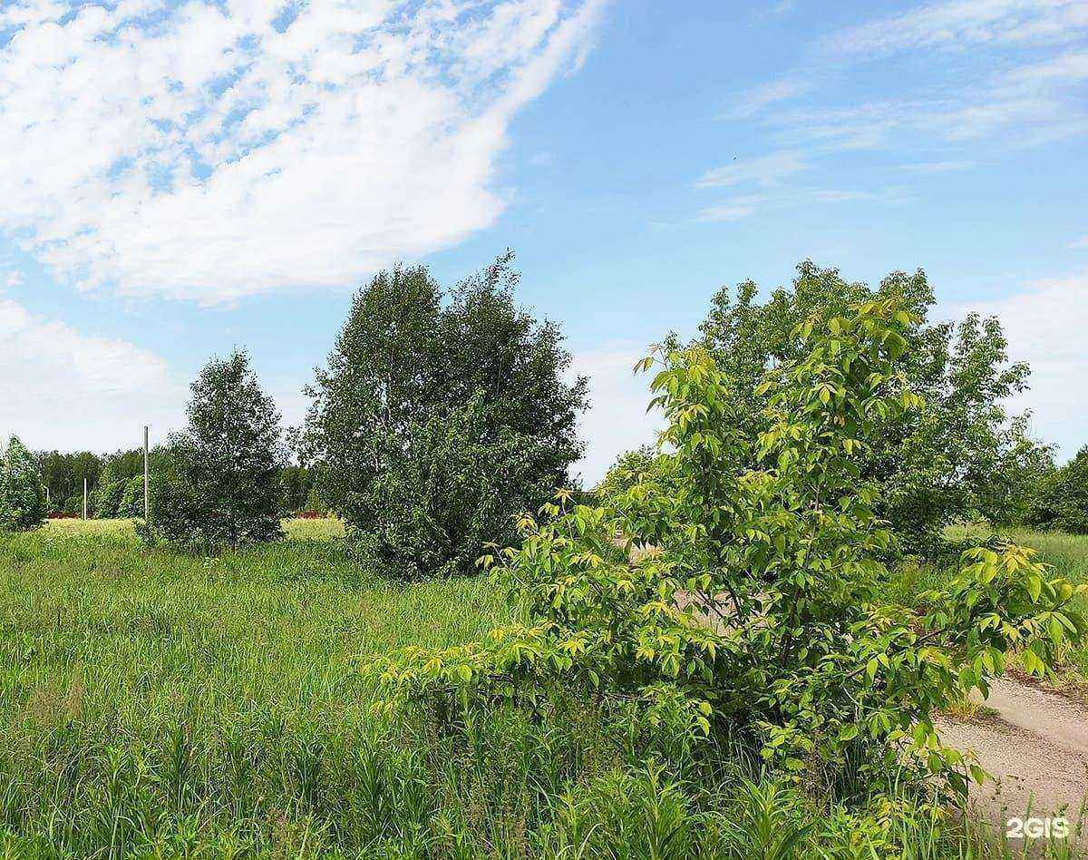 Отзывы на компанию Новое Филимоново в г. Павловский Посад c фото