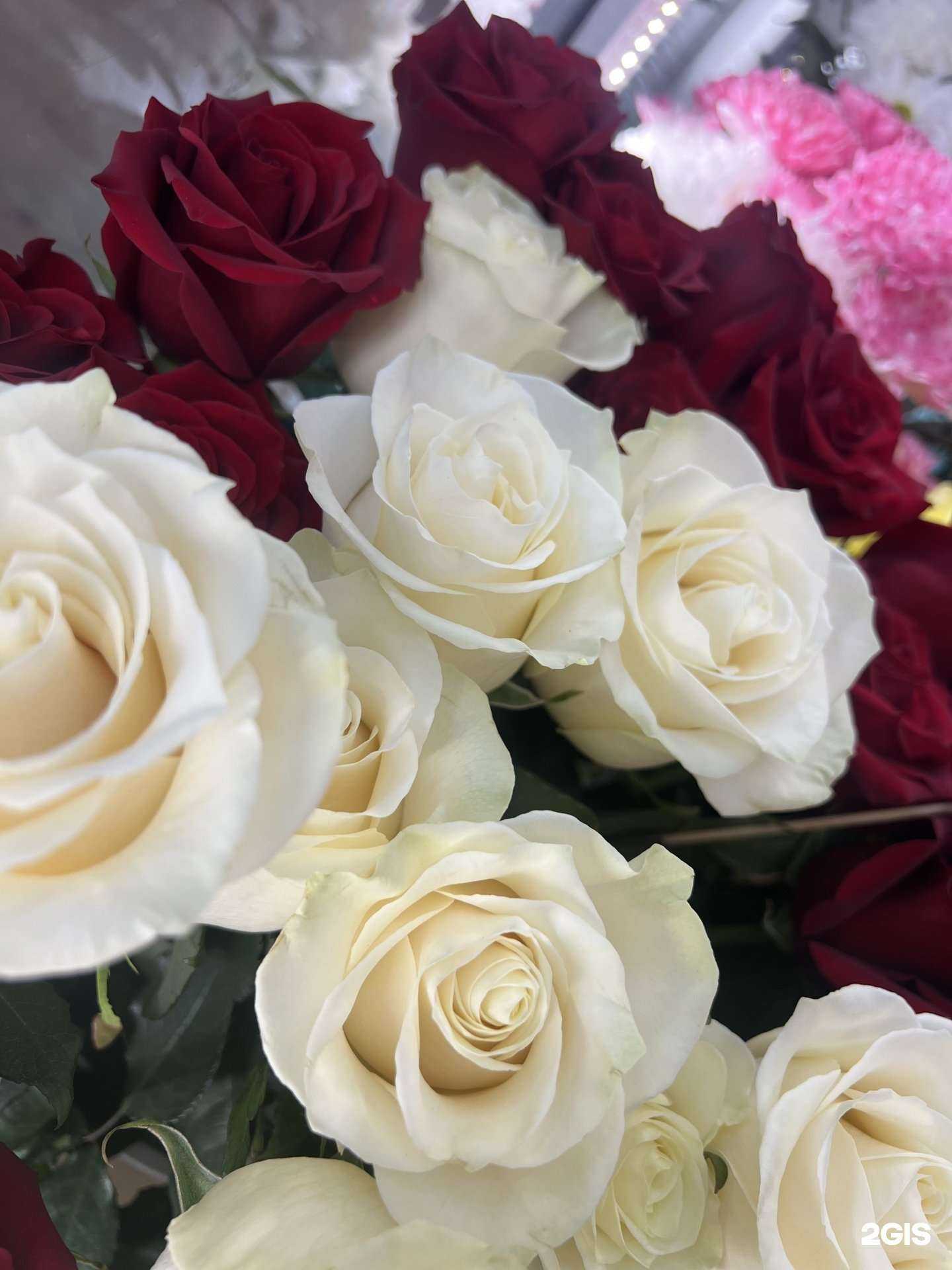 Отзывы на компанию Никилея в Барнауле c фото