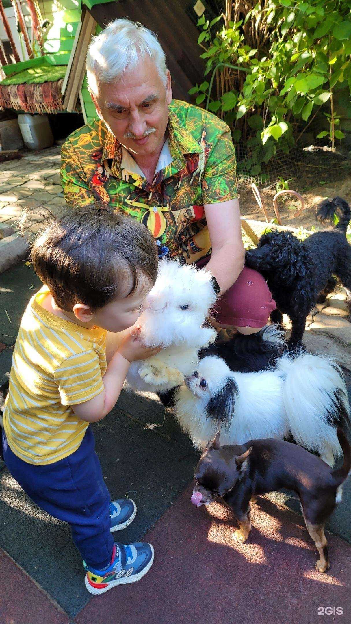 Отзывы на компанию В гостях у Вилли в Сертолове c фото