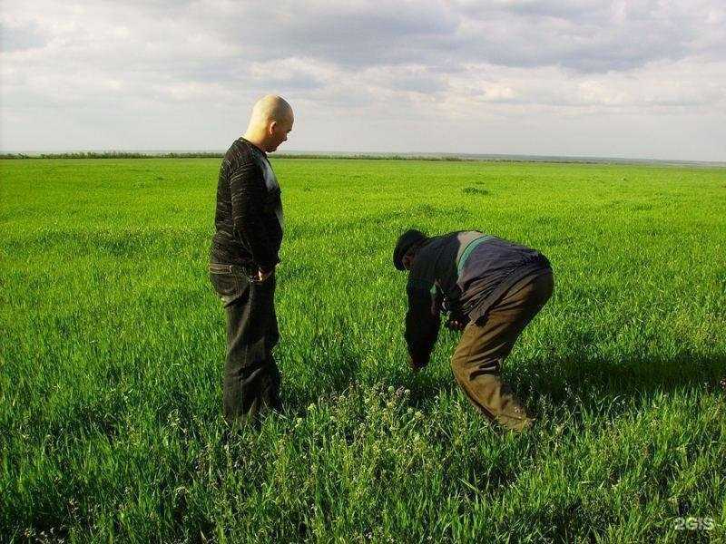 Отзывы на компанию Лечебная природа в Волгограде c фото