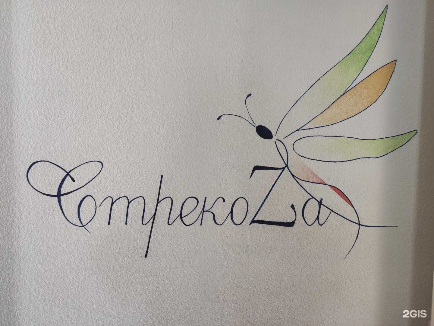 Отзывы на компанию Стрекоза в Зеленодольске c фото