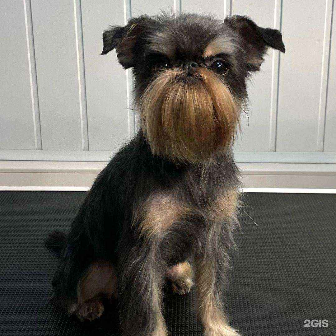 Отзывы на компанию Артемон в г. Видное c фото