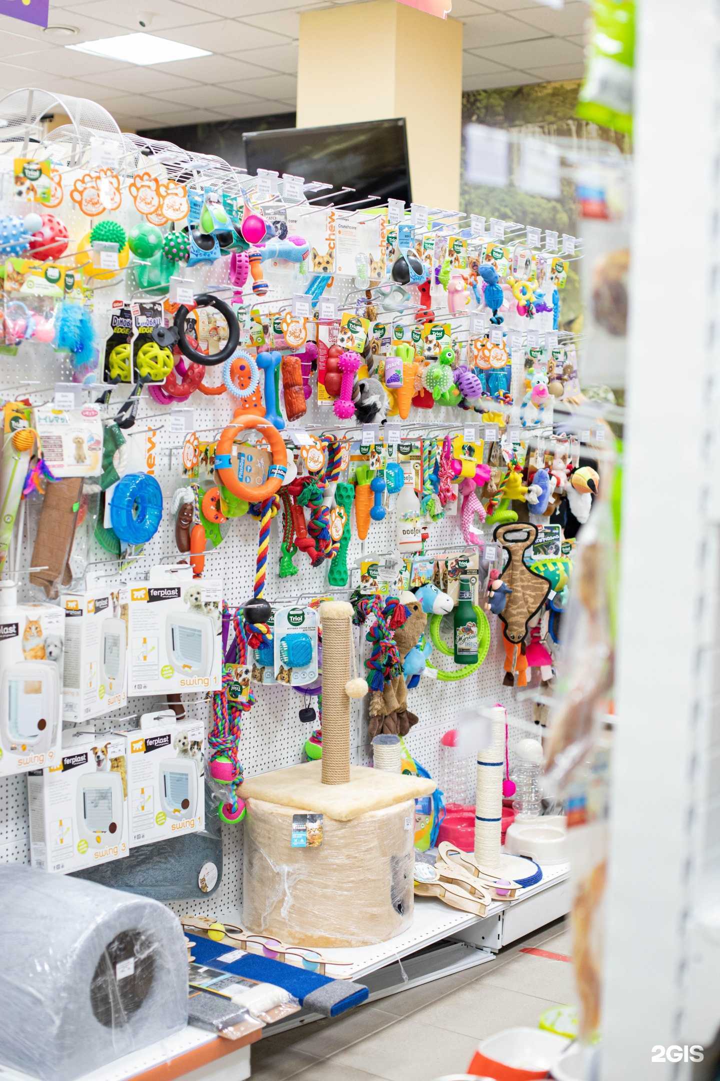 Отзывы на компанию В мире животных в Ростове-на-Дону c фото