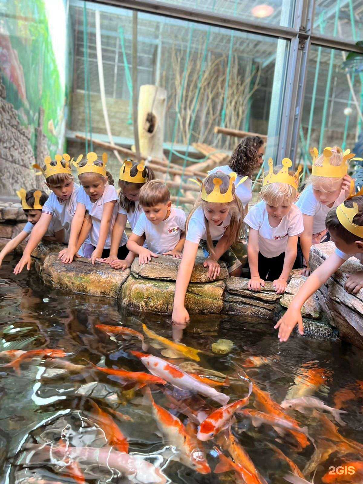 Отзывы на компанию Успешный малыш в г. Калининград c фото