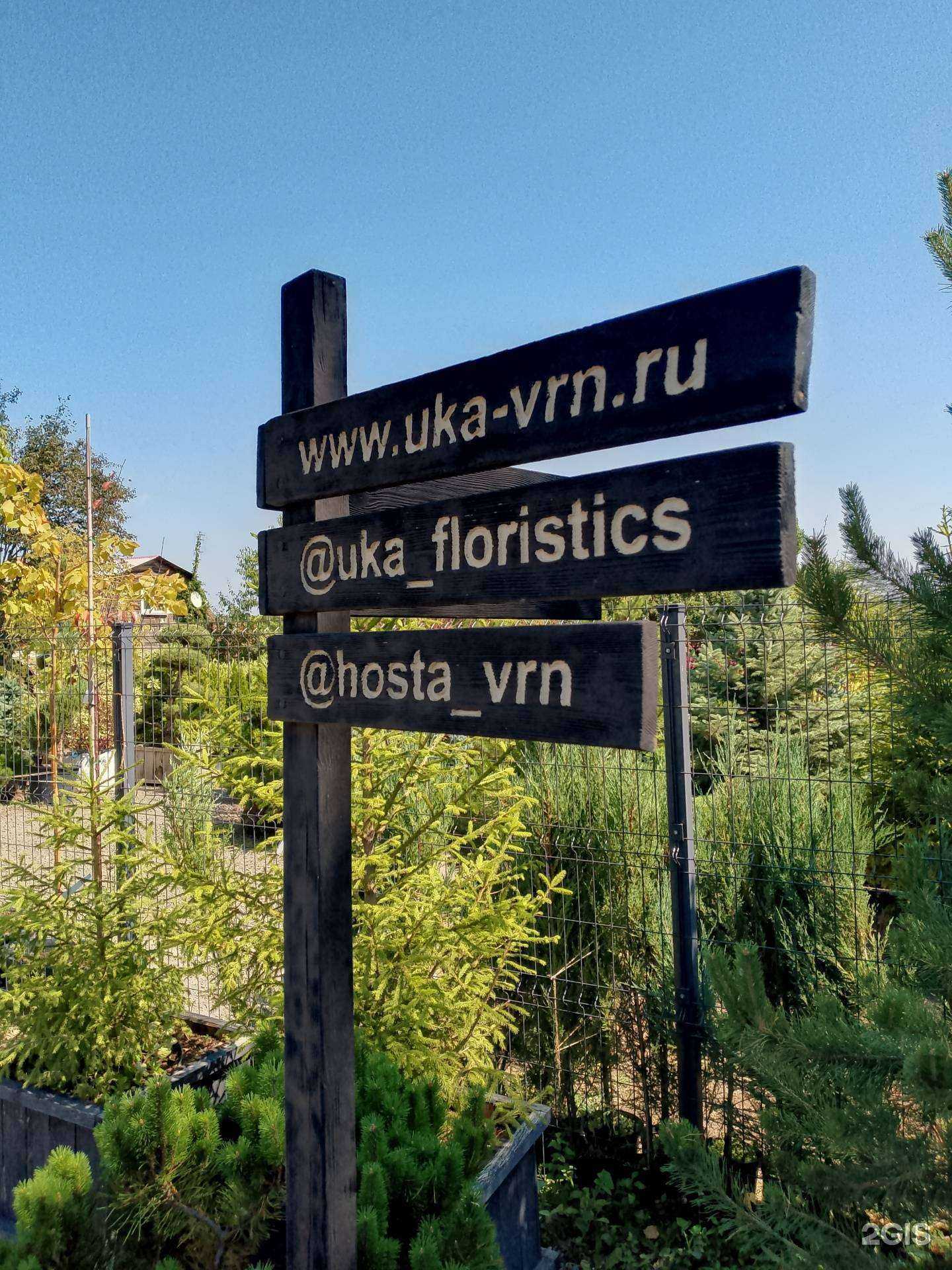 Отзывы на компанию Юка в г. Воронеж c фото