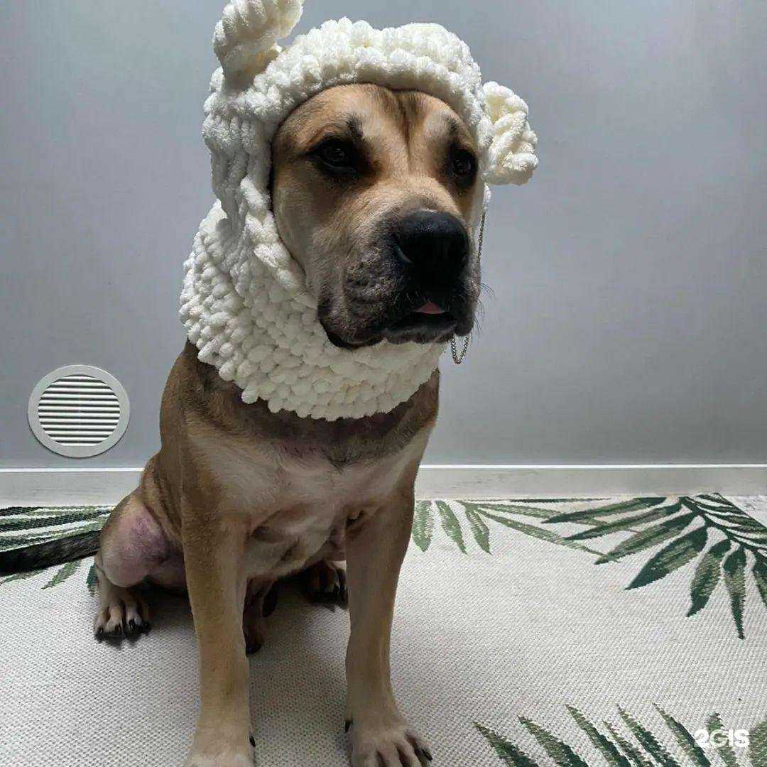 Отзывы на компанию Класс Дизайн в Липецке c фото