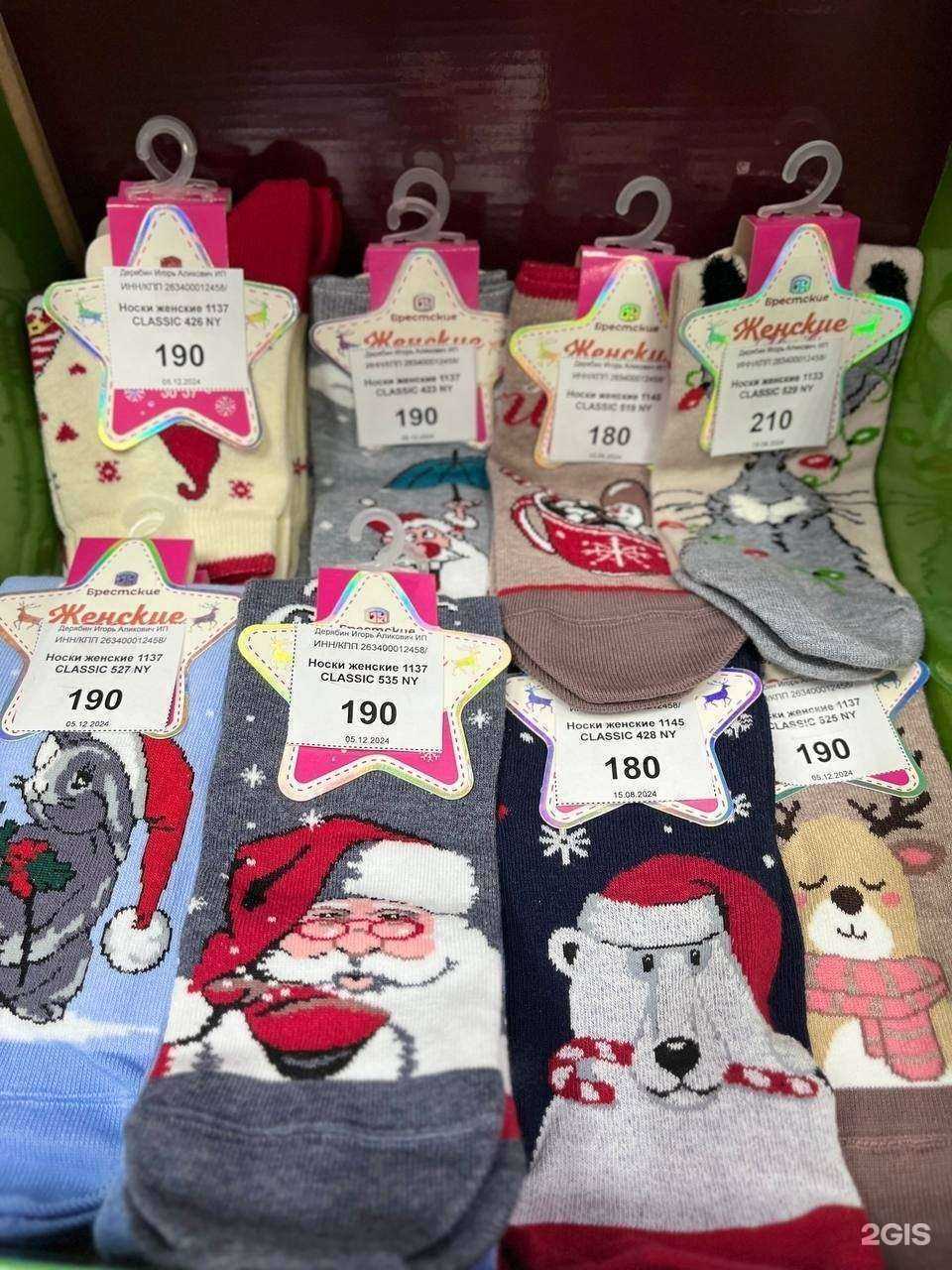 Отзывы на компанию Три кота в Ставрополе c фото