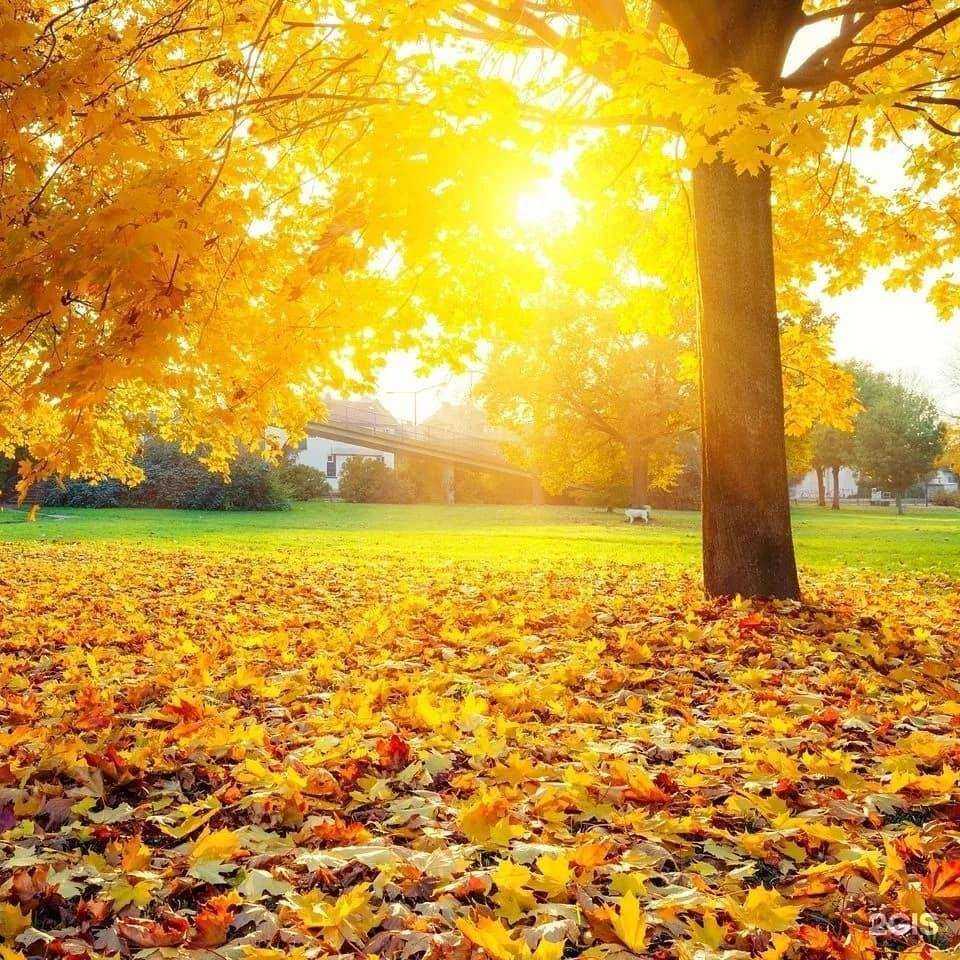 Отзывы на компанию Просвещение в Липецке c фото